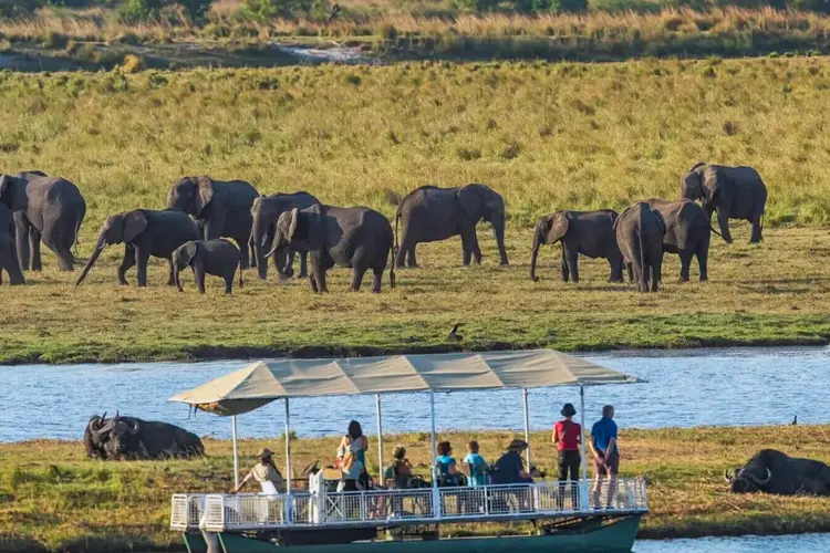 VICTORIA FALLS WITH CHOBE SAFARI