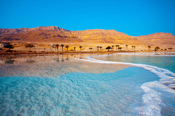 ENCHANTING ISRAEL 