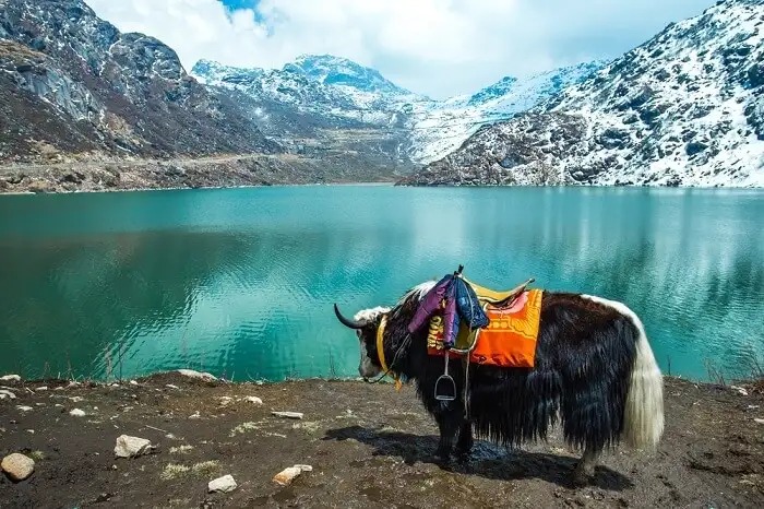 EXPLORE GANGTOK AND DARJEELING