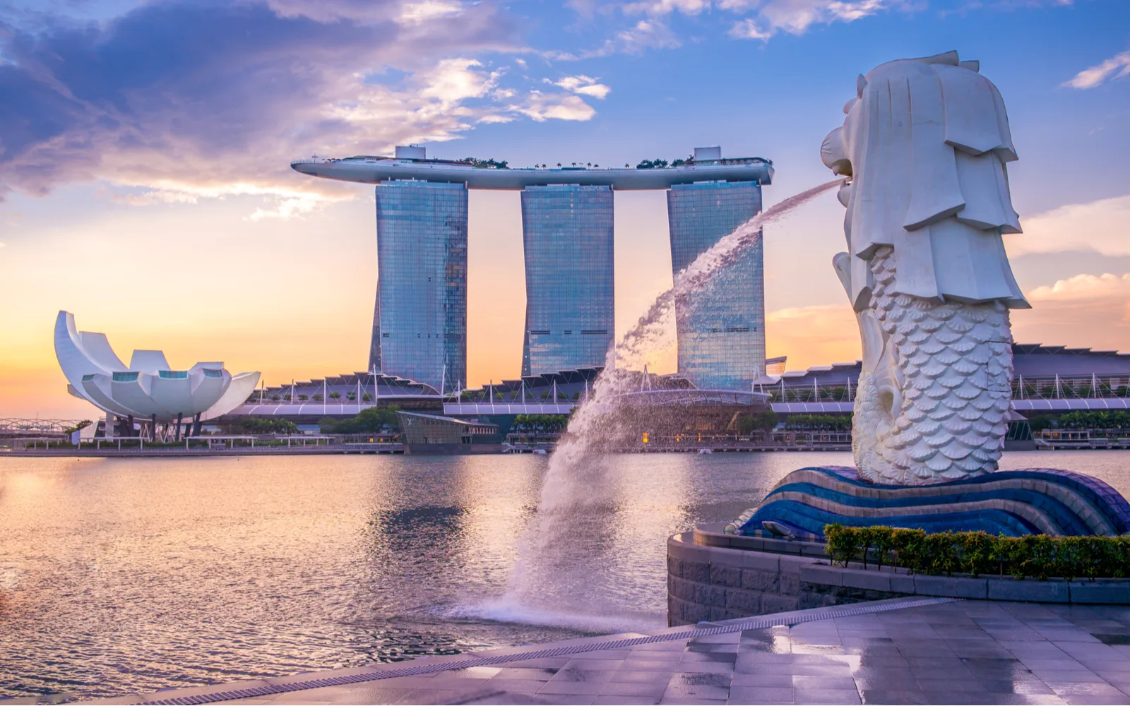 SCENIC SINGAPORE 