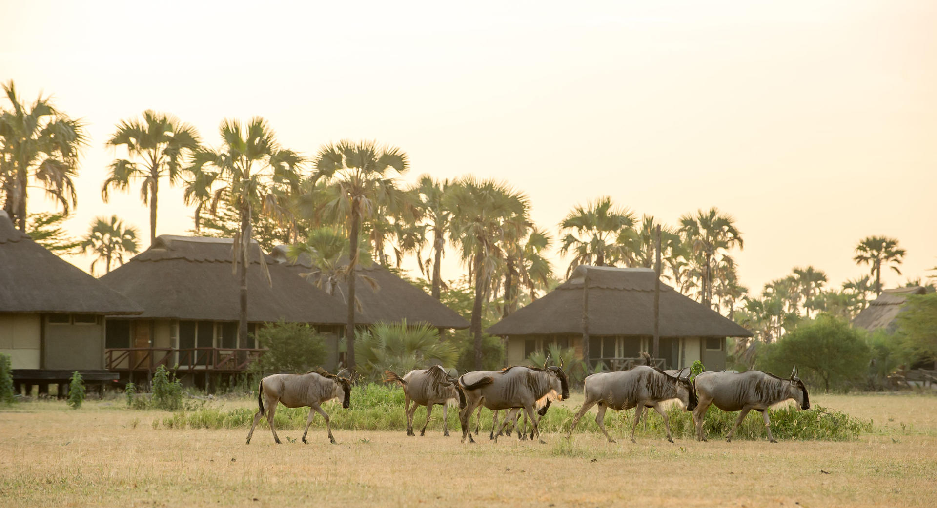 MARAMBOI TENTED LODGE